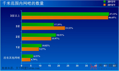 天下网盟2013年中国网吧行业发展调查报告
